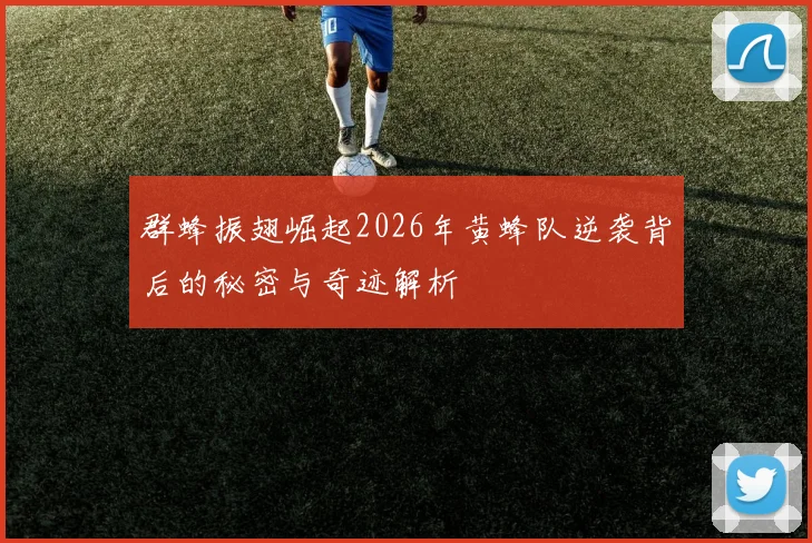 群蜂振翅崛起2026年黄蜂队逆袭背后的秘密与奇迹解析