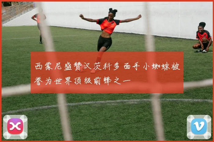 西蒙尼盛赞汉茨科多面手小蜘蛛被誉为世界顶级前锋之一