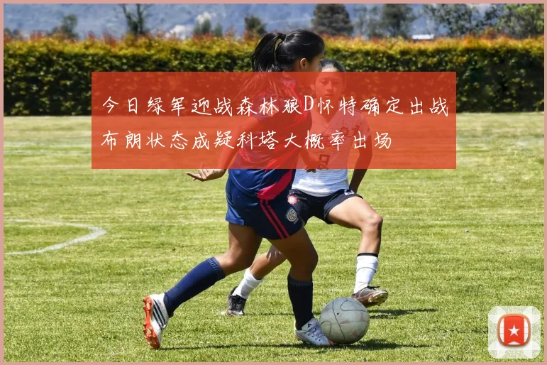 今日绿军迎战森林狼D怀特确定出战布朗状态成疑科塔大概率出场