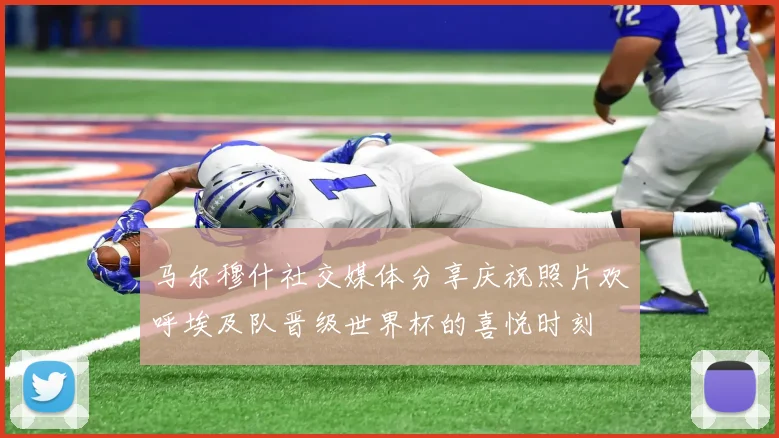 马尔穆什社交媒体分享庆祝照片欢呼埃及队晋级世界杯的喜悦时刻