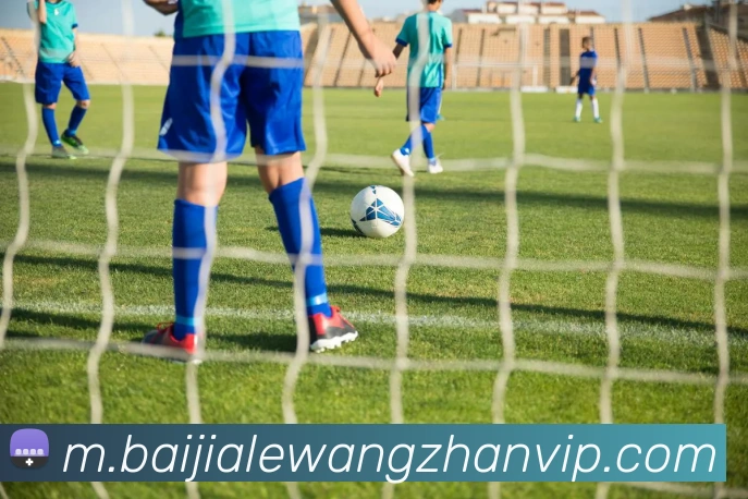 百家乐网站平台生态图